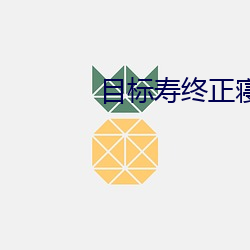 目标寿(shòu)终正寝