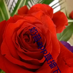 918博天堂·(中国)手机版客户端