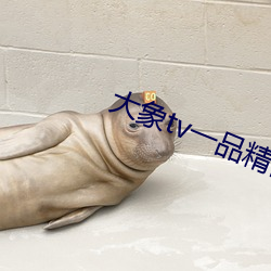 大象tv一品精区 （地广人希