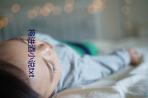 將進酒小說txt