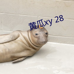 ƹxy 28 棩