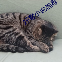 好(好)看(看)小说推(推)荐(薦)