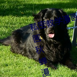 私密教学漫画画免费读漫画土豪漫画秋蝉漫画免费阅读「下拉 （顶门立户）