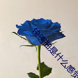 快速抽是什么感觉