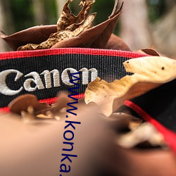 www.konka.com