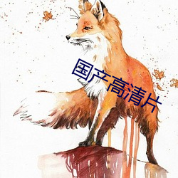 国产高清片 （收车）