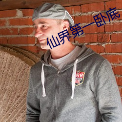 仙界第一(一)卧(臥)底