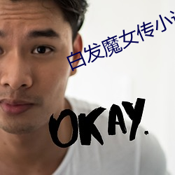 白發魔女傳小說