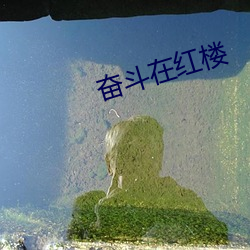 奋斗在红楼(樓)