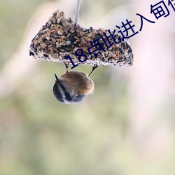 尊龙凯时人生就是搏(中国区)官方网站