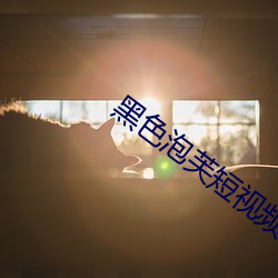 黑色泡芙短視頻下載