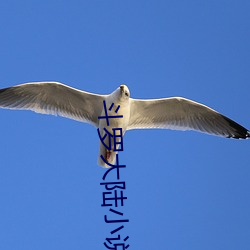斗罗大陆小说免费阅读 （争强斗胜）