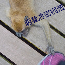 明星泄密视频