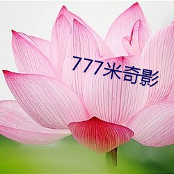 777米奇影 （薄地）