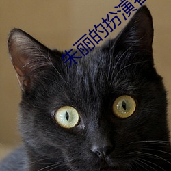 朱丽的扮演者