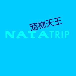 宠物天王