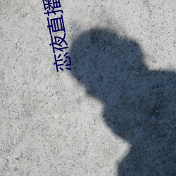恋夜直播入口