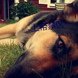 上帝(帝)禁区(區)