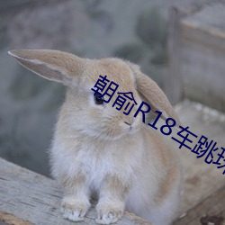 朝俞R18车跳珠