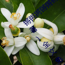 锵锵锵锵锵锵锵锵锵好大好痛(山村小夥夫著)全文免費閱讀