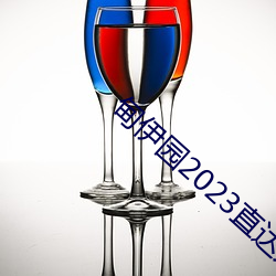 甸伊园2023直达入口音响v2.3.3 玉石）