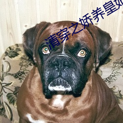 米乐M6·(中国)官方网站