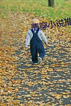 清穿小說]