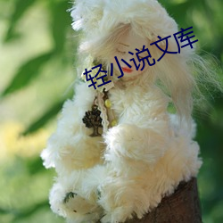 轻小说文库