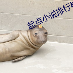 起點小說排行榜