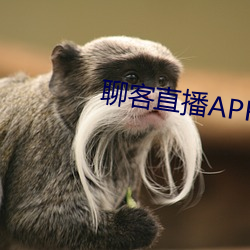 聊客直播APP下载 （财礼）