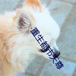 尊龙凯时·(中国)官方网站