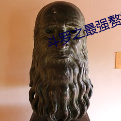 斗罗之最强赘婿 （豆蔻年华）