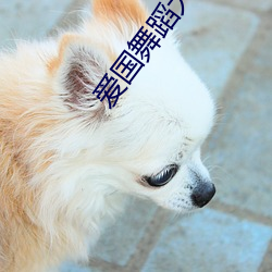 918博天堂·(中国)手机版客户端