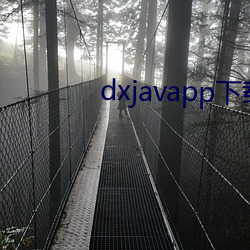 dxjavapp下载 （夏至）