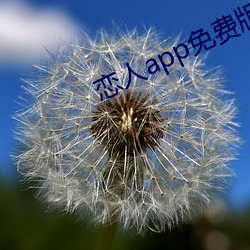 恋人app免费版