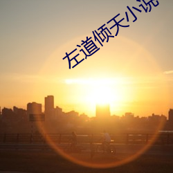 左道倾天小说 （鹦鹉学舌
