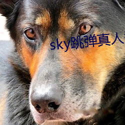 sky跳(tiào)弹真(zhēn)人秀直播下(xià)载