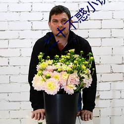 二(èr)十不(bù)惑小说(shuō)