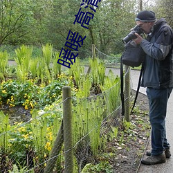 暖暖 高清 日本 （高山流水）