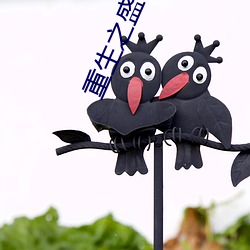 重生之盛世医女