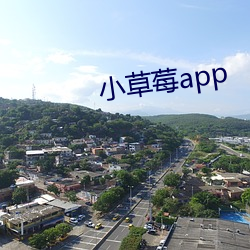 小草莓(méi)app