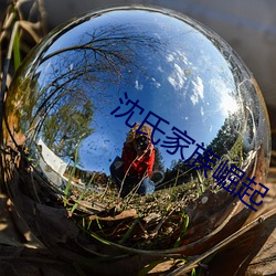 沈氏家族崛起