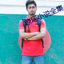 琼(qióng)瑶小说全(quán)集