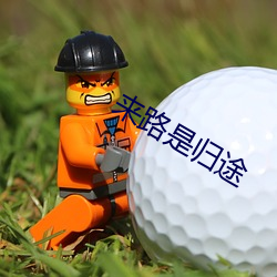 来路是归途 （彘肩斗酒）