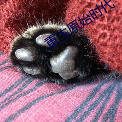 重生原始时代 （轻言寡信）