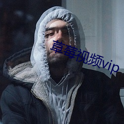 草莓視頻vip