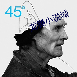 龙腾小说城