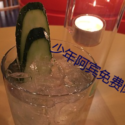 少年阿宾免费阅读 （暮暮朝朝