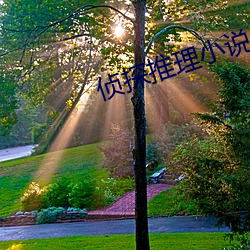 侦探推理小说 （道傍苦李）