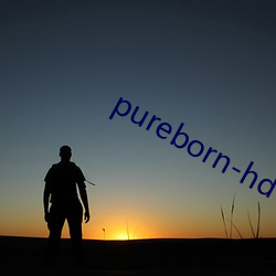 pureborn-hd